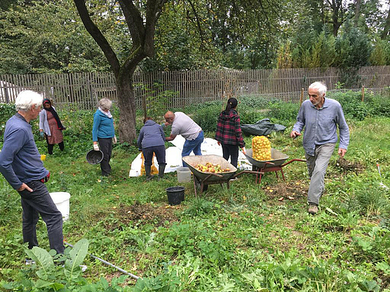 Alle sammeln Äpfel