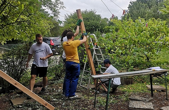 Errichten der Standbalken für das Weindach