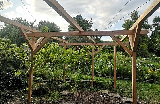 Das fertige Weindach steht