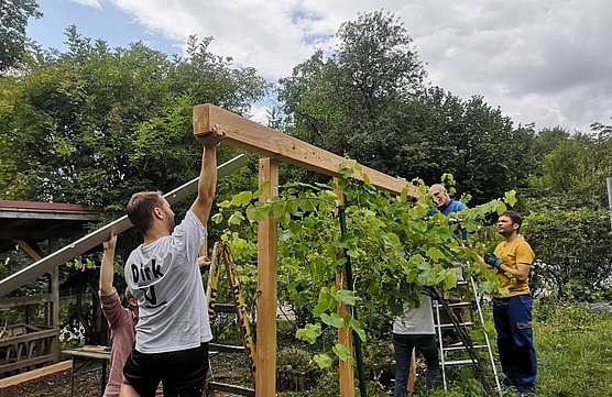 Aufsetzen der Querbalken für das Weindach