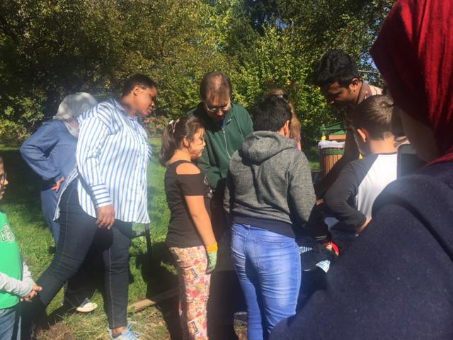 Der fertige Apfelsaft wird in die Flasche gegossen Der fertige Apfelsaft wird in die Flasche gegossen